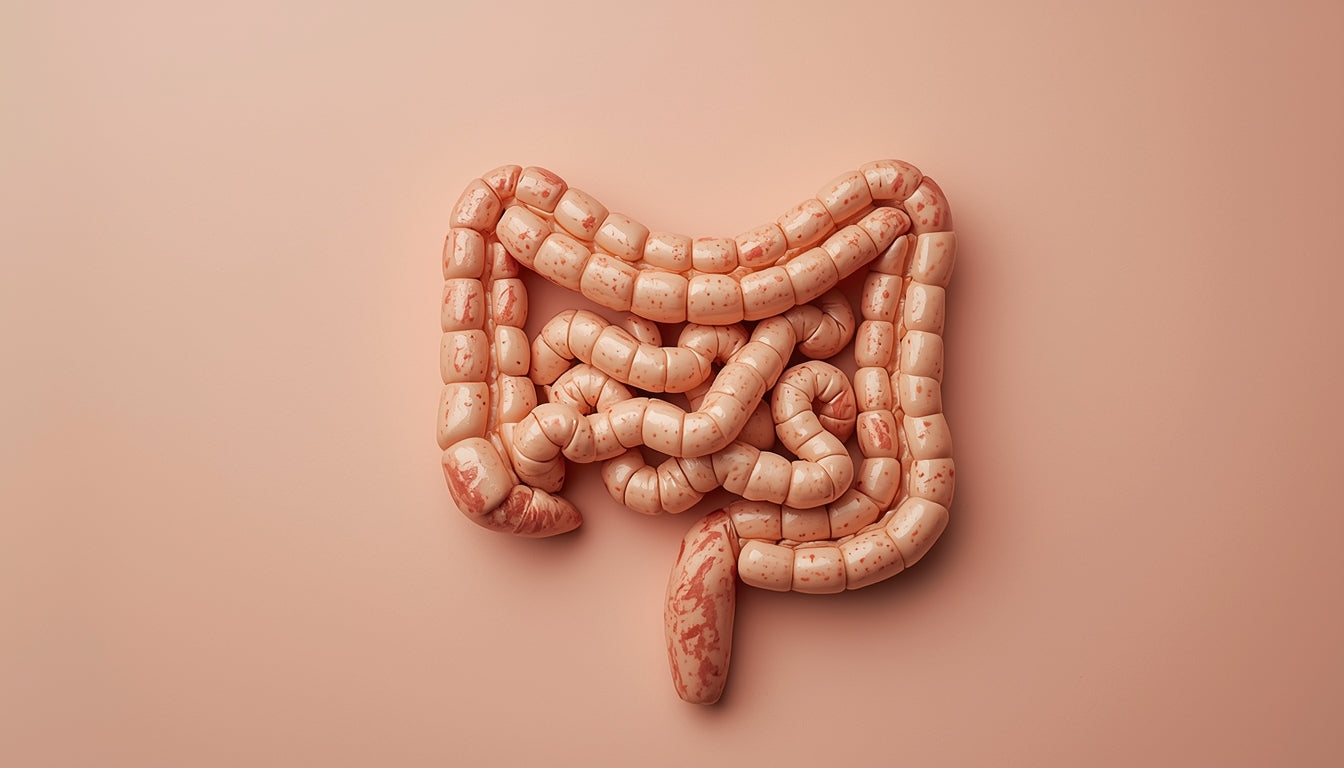 After 35 Age Digestion Changes – What Indian Families Must Know